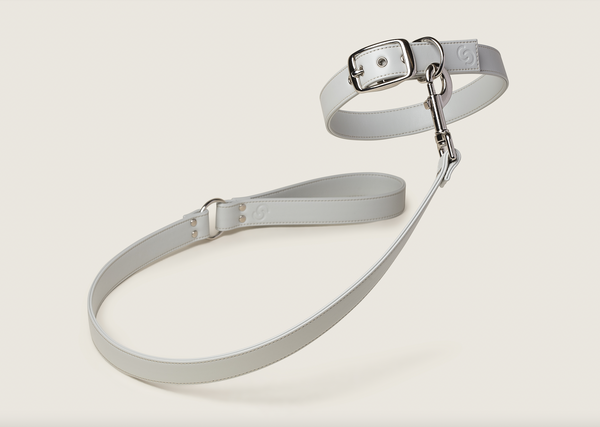 Ice Blue Collar