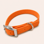 Waterproof Webbing Dog Collar