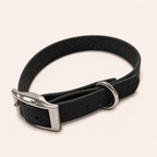 Waterproof Webbing Dog Collar