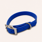 Waterproof Webbing Dog Collar
