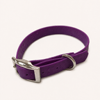Waterproof Webbing Dog Collar
