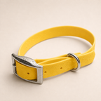 Waterproof Webbing Dog Collar