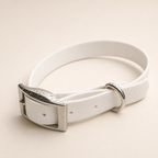 Waterproof Webbing Dog Collar