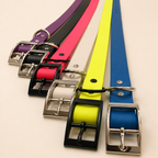 Waterproof Webbing Dog Collar