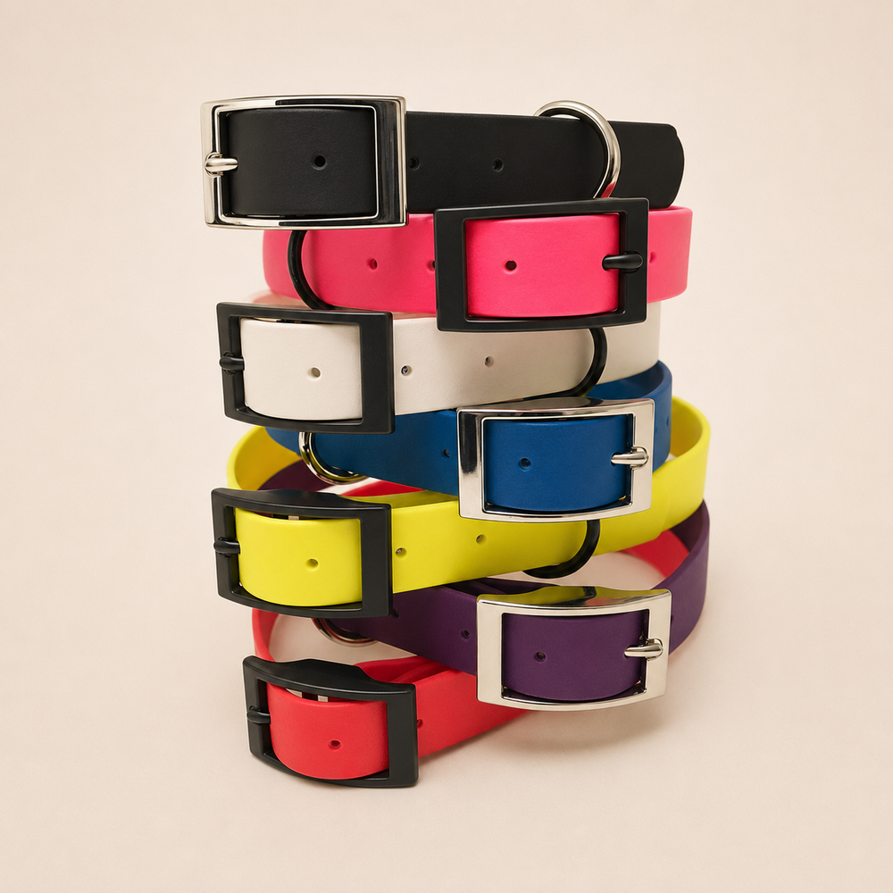 Waterproof Webbing Dog Collar