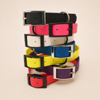 Waterproof Webbing Dog Collar