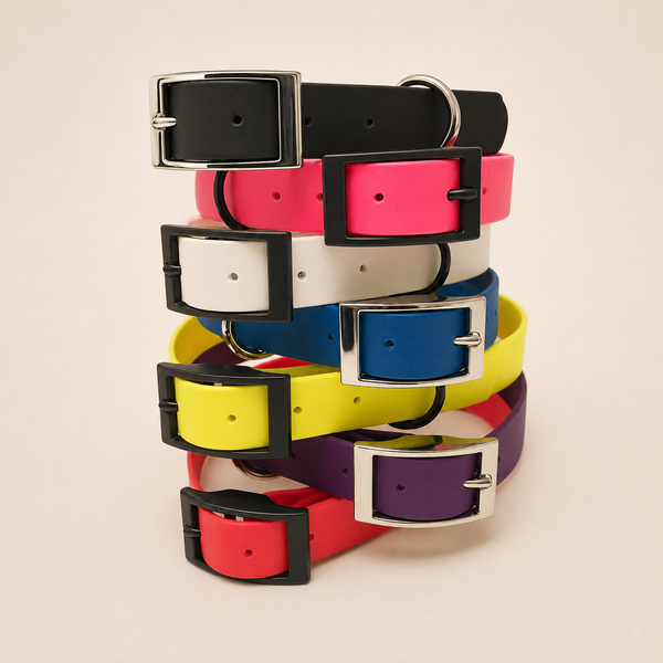 Waterproof Webbing Dog Collar
