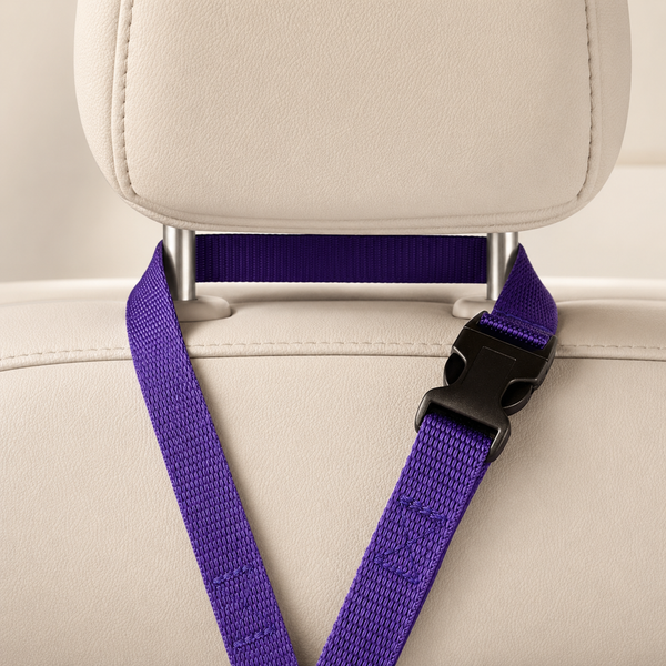 Car Seat Belt (for use with harness only)