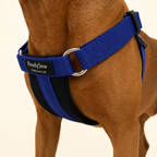 Standard Dog Harness