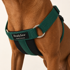 Standard Dog Harness