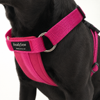 Standard Dog Harness