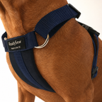 Standard Dog Harness