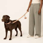 Blush pink Skylos apple leather dog lead with poo bag holder, dog being walked on lead