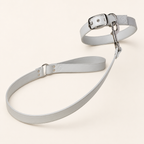 Striking silver Skylos apple leather dog collar and lead set