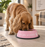 Dog eating from the pink I Love You So Much stainless steel dog bowl