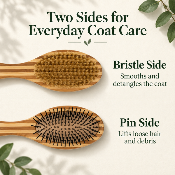 country-living-dual-sided-bamboo-dog-brush_main_01