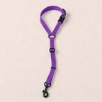 Car Seat Belt (for use with harness only)