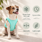 Elasto-Fit Ice Vest features: keeps pet cold, up to 6 hours, adjustable, lightweight