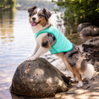 Dog wearing the aqua Elasto-Fit Ice Vest outdoors by a lake
