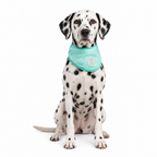 ice-band-dog-cooling-bandana-aqua_lifestyle_05