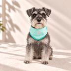 ice-band-dog-cooling-bandana-aqua_lifestyle_07