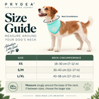 ice-band-dog-cooling-bandana-aqua_size-guide_03