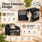 ptd2440_entrances_04