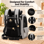 ptd2441_rear-straps_08