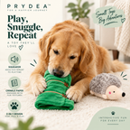 sleeping-porcupine-dog-toy-plush-2-in-1-squeaker-crinkle-playtime-fun_lifestyle_04