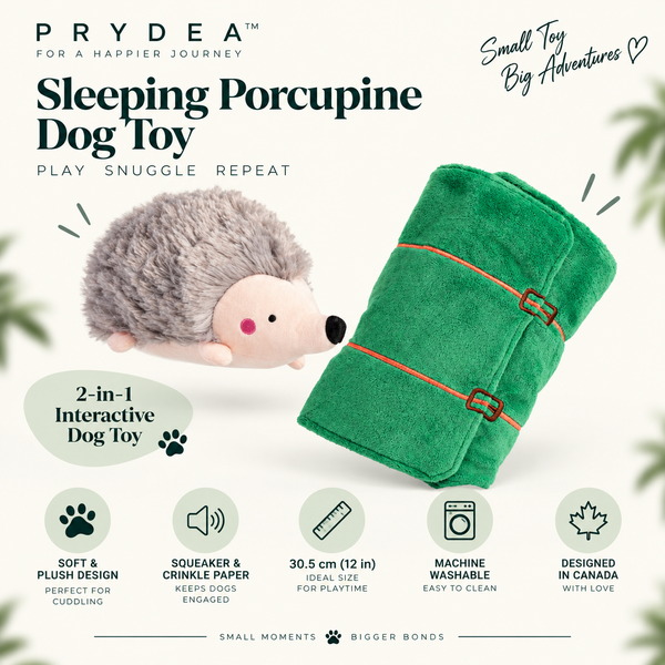 sleeping-porcupine-dog-toy-plush-2-in-1-squeaker-crinkle-playtime-fun_main_01
